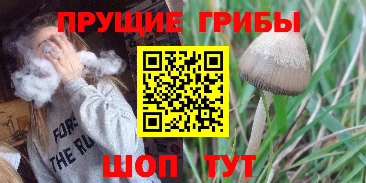 Псилоцибиновые грибы Magic Shrooms Златоуст
